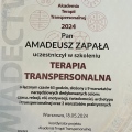 Powiększ obraz: certificate 41