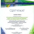 Powiększ obraz: certificate 8