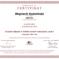 Powiększ obraz: certificate 10