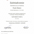 Powiększ obraz: certificate 8