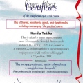 Powiększ obraz: certificate 2