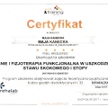 Powiększ obraz: certificate 5