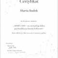 Powiększ obraz: certificate 14