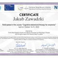 Powiększ obraz: certificate 11