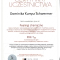 Powiększ obraz: certificate 8