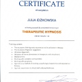 Powiększ obraz: certificate 4