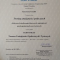 Powiększ obraz: certificate 2