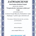 Powiększ obraz: certificate 13