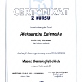 Powiększ obraz: certificate 4