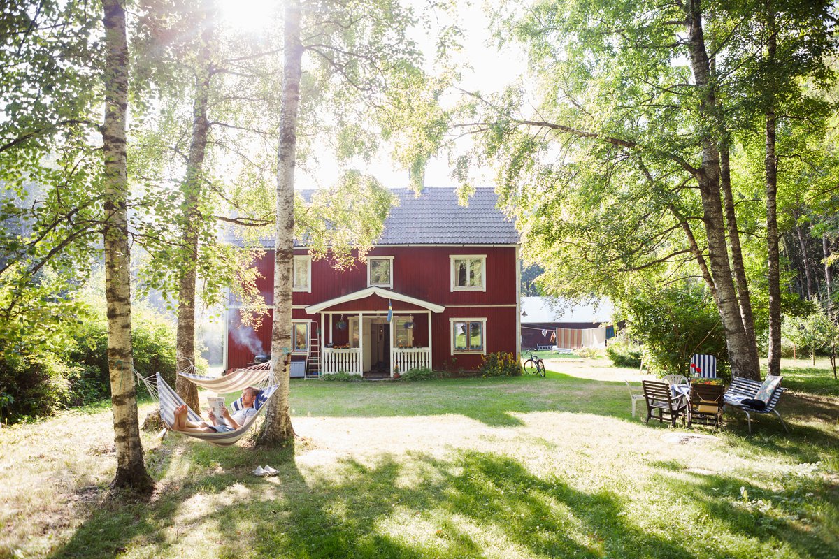En röd stuga med vita knutar i bakgrunden och en stor gräsmatta i förgrunden med flera björkar. Mellan två björkar hänger en hängmatta.
