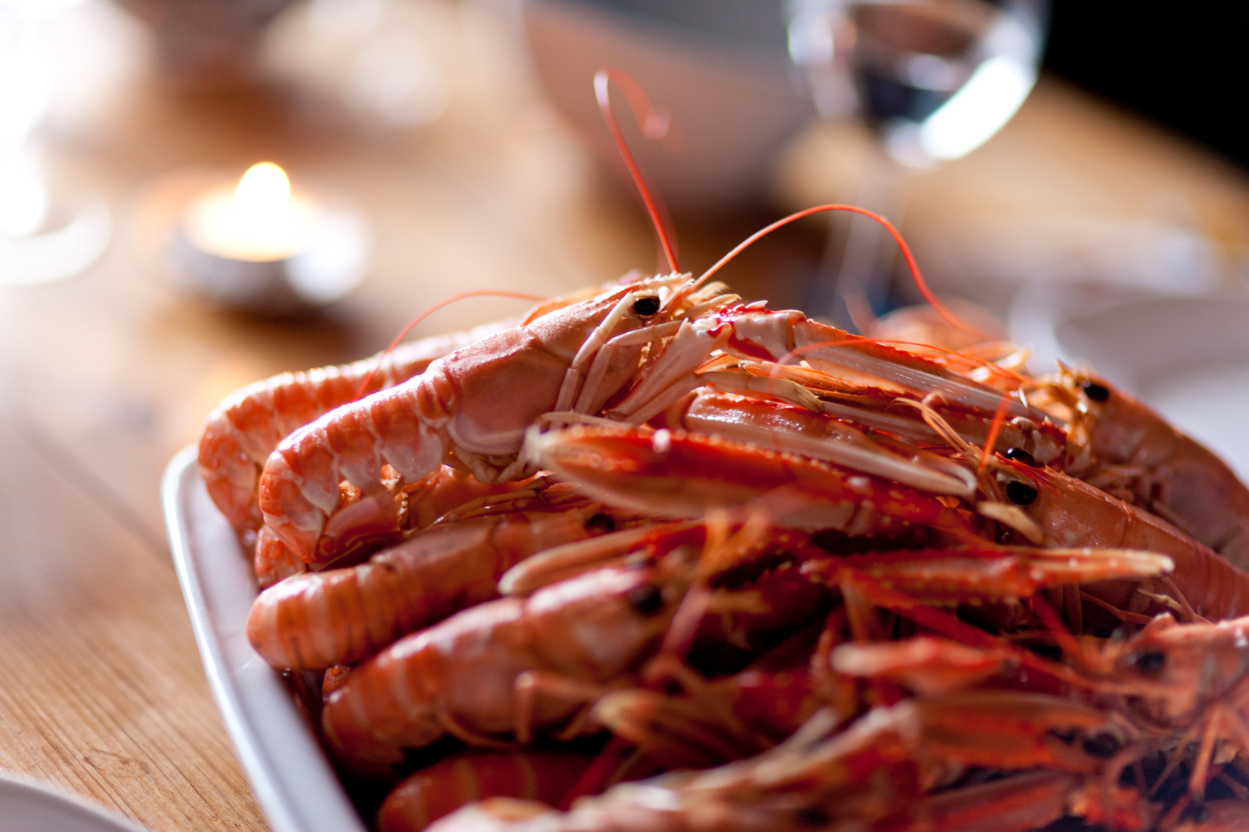 henrik_trygg-langoustine-2471