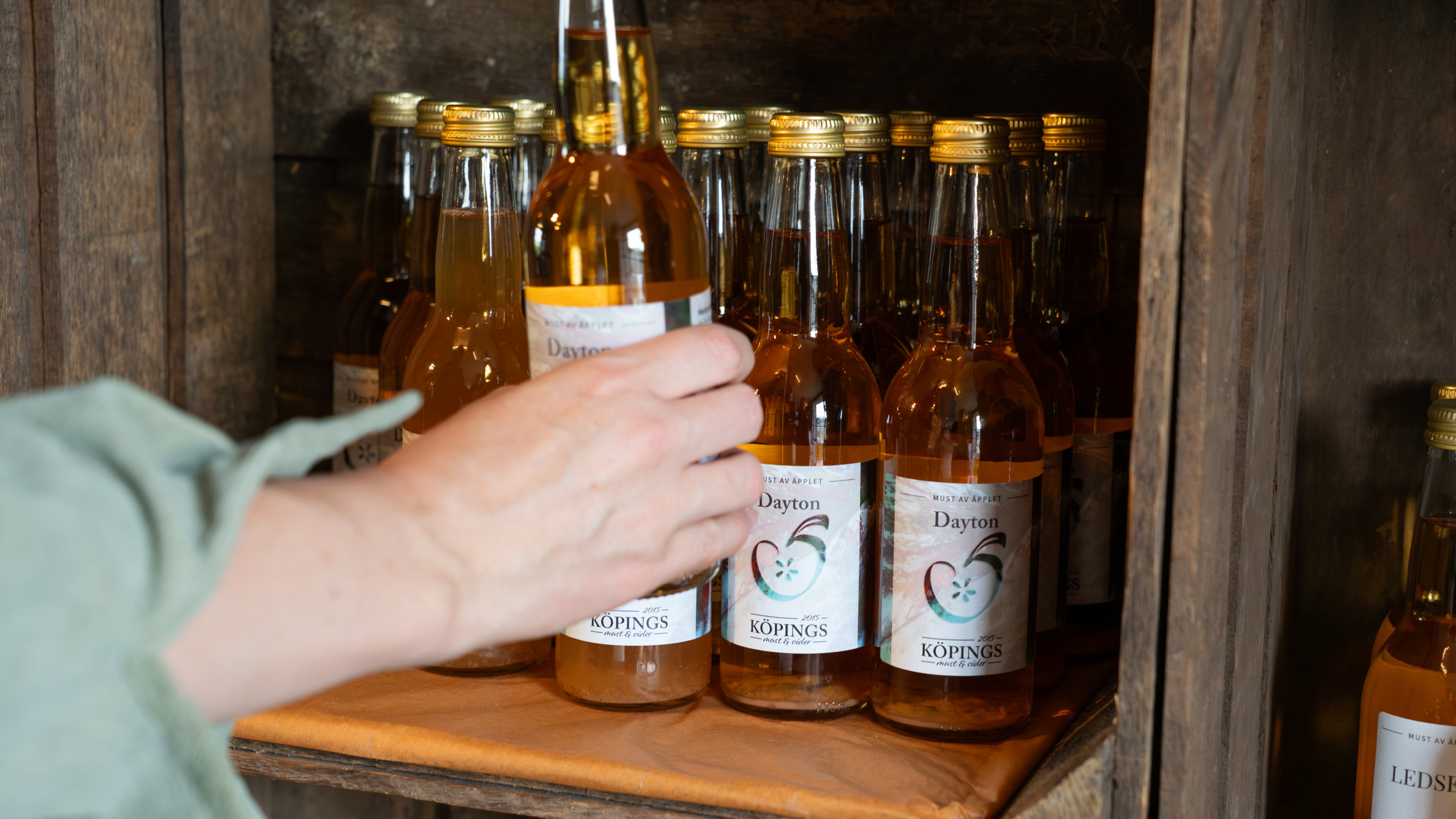 julia_trygg-cider,_köpings_musteri-12623