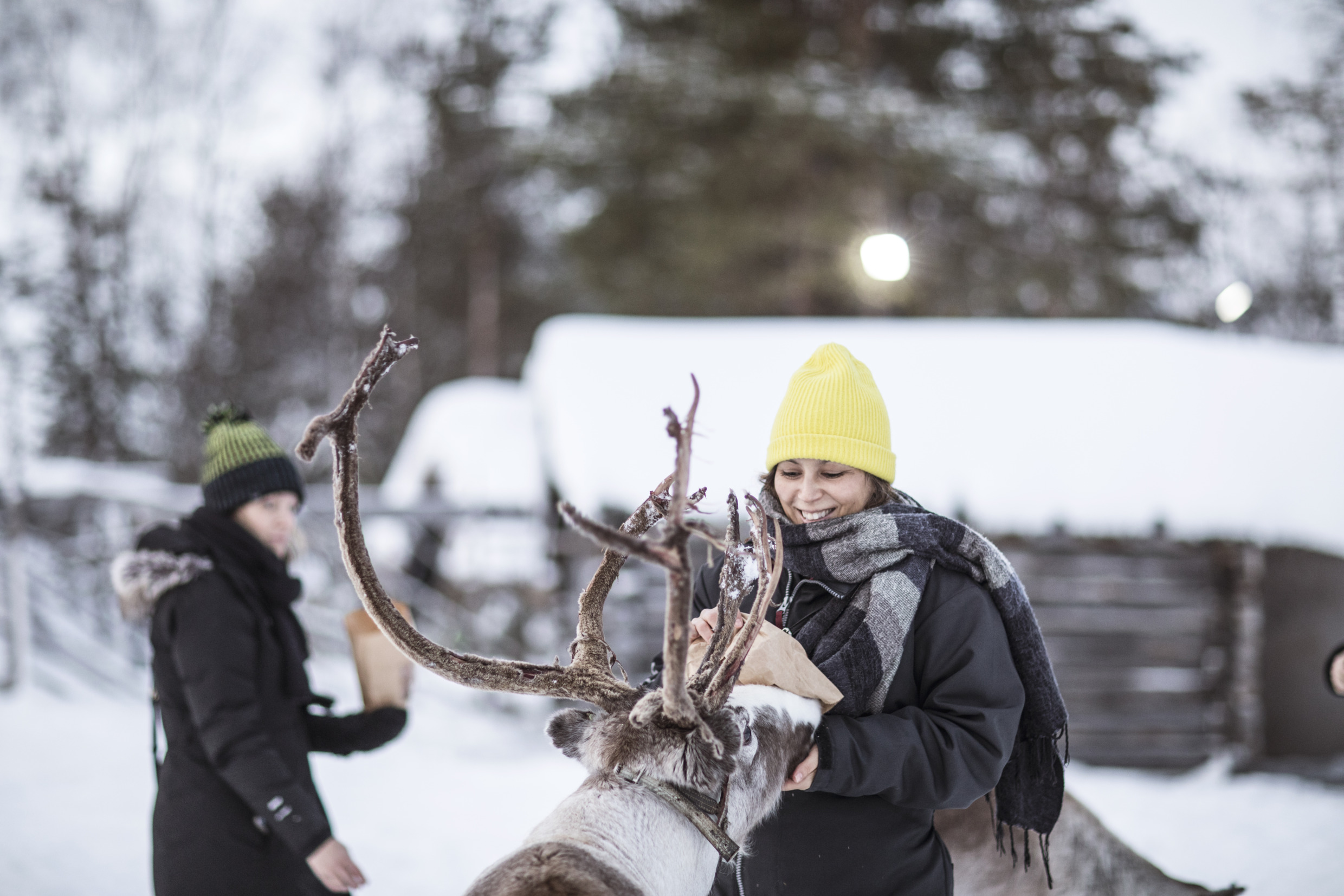 En kvinna klappar en ren och i bakgrunden står det några snötäckta stugor.